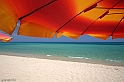 Girovagando...in Sardegna